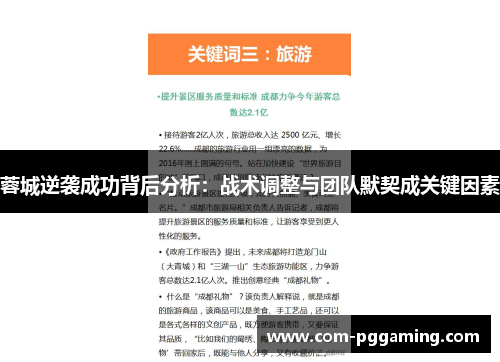 蓉城逆袭成功背后分析：战术调整与团队默契成关键因素