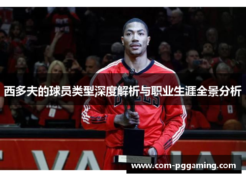 西多夫的球员类型深度解析与职业生涯全景分析