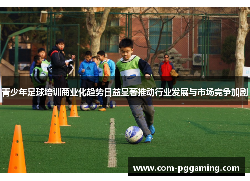 青少年足球培训商业化趋势日益显著推动行业发展与市场竞争加剧 青少年足球培训商业化趋势日益显著推动行业发展与市场竞争加剧
