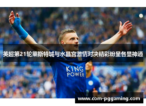 英超第21轮莱斯特城与水晶宫激情对决精彩纷呈各显神通 英超第21轮莱斯特城与水晶宫激情对决精彩纷呈各显神通