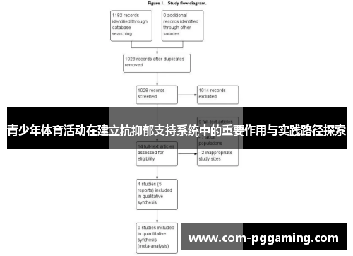 青少年体育活动在建立抗抑郁支持系统中的重要作用与实践路径探索